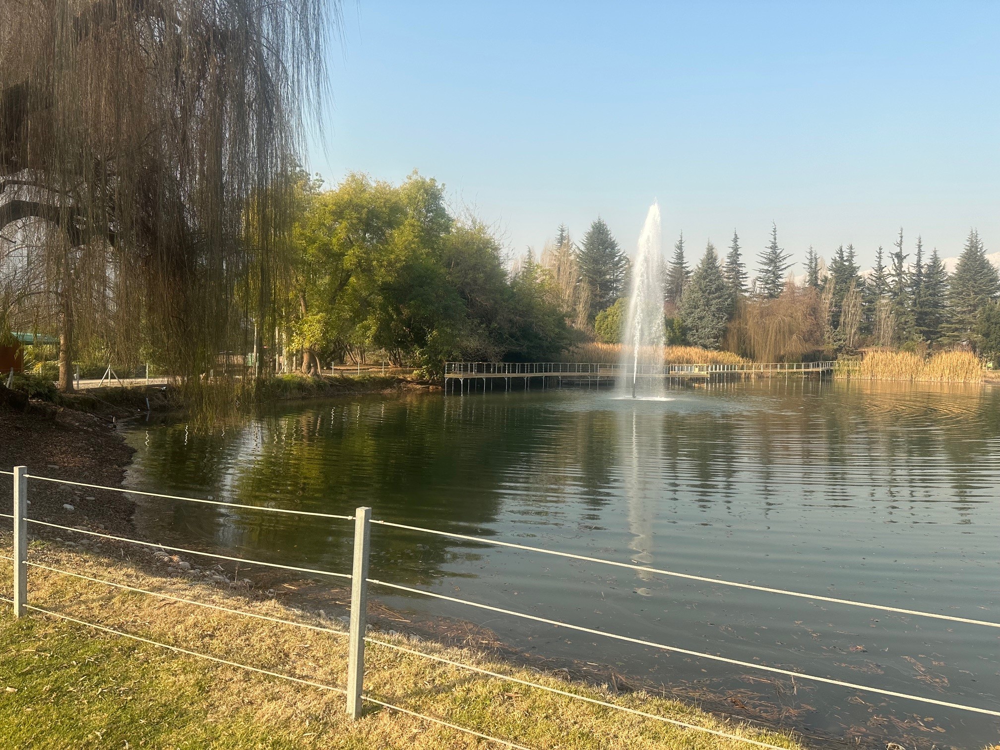 Vendo Sepultura Familiar Parque DEL Recuerdo Americo Vespucio — foto 1