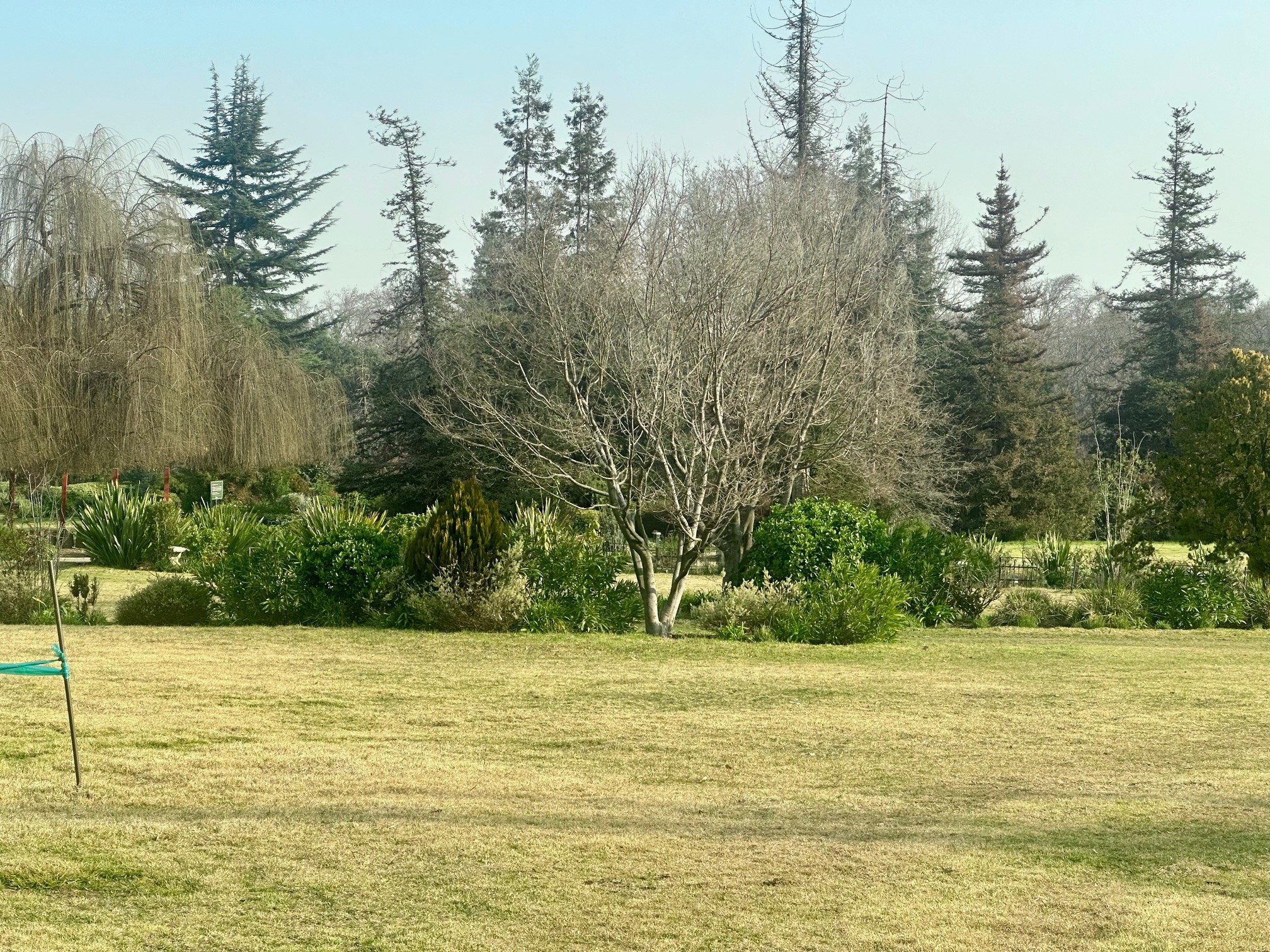 Vendo Sepultura Familiar Parque DEL Recuerdo Americo Vespucio — foto 3