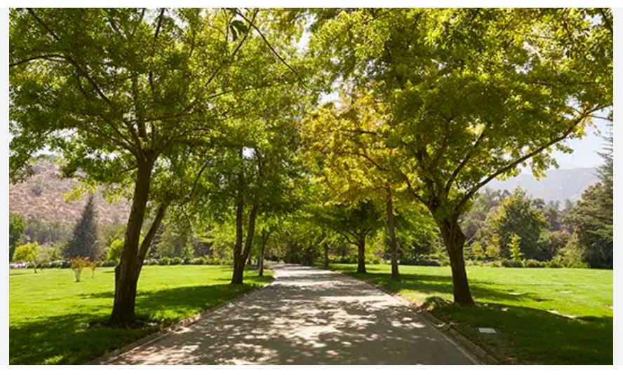 Sepultura Familiar Parque del Recuerdo — foto 2