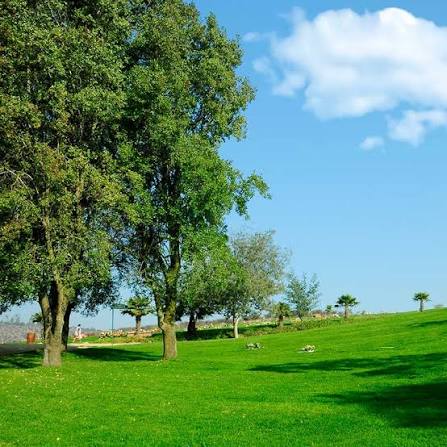 Jardín Privado Sendero Villa Alemana — foto 2