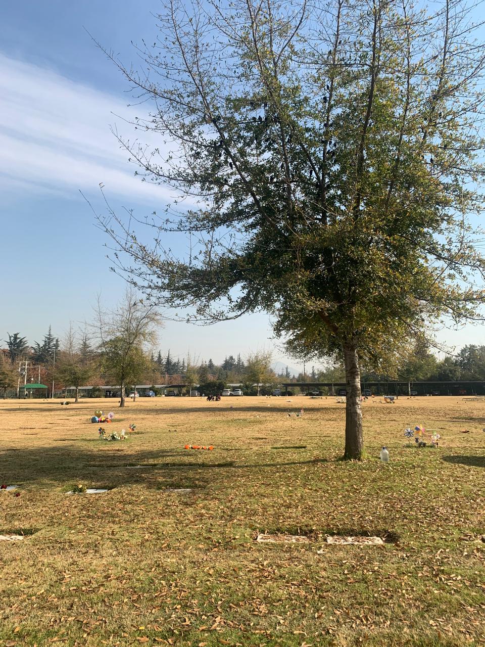 Se Vende Sepultura para 3, Parque del Recuerdo, Américo Vespucio Nueva Etapa — foto 2